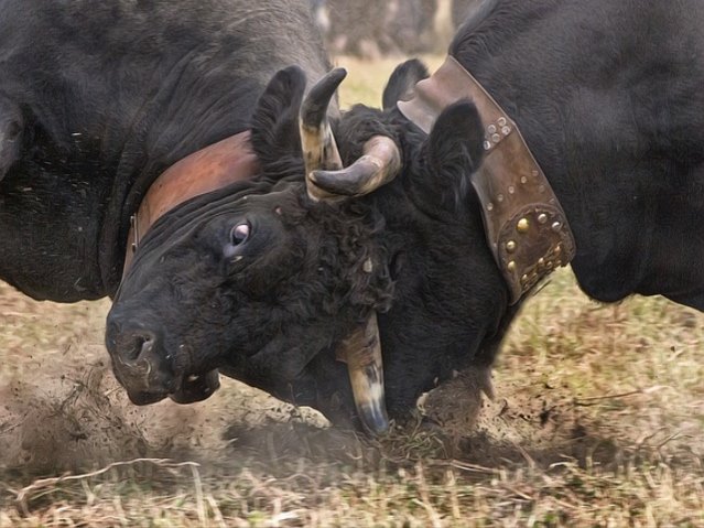 아래로 내려오시면 보내는분, 받는분, 상품 정보 입력하는 칸이 있습니다.